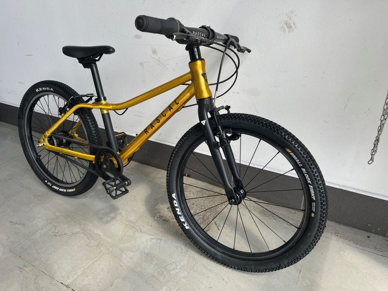 RASCAL BIKES - 20" Gold - 3 rychlosti