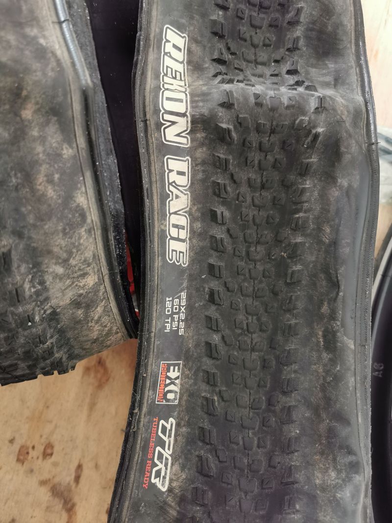 Maxxis Rekon Race EXO TR