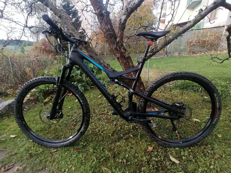 Specialized camber comp carbon