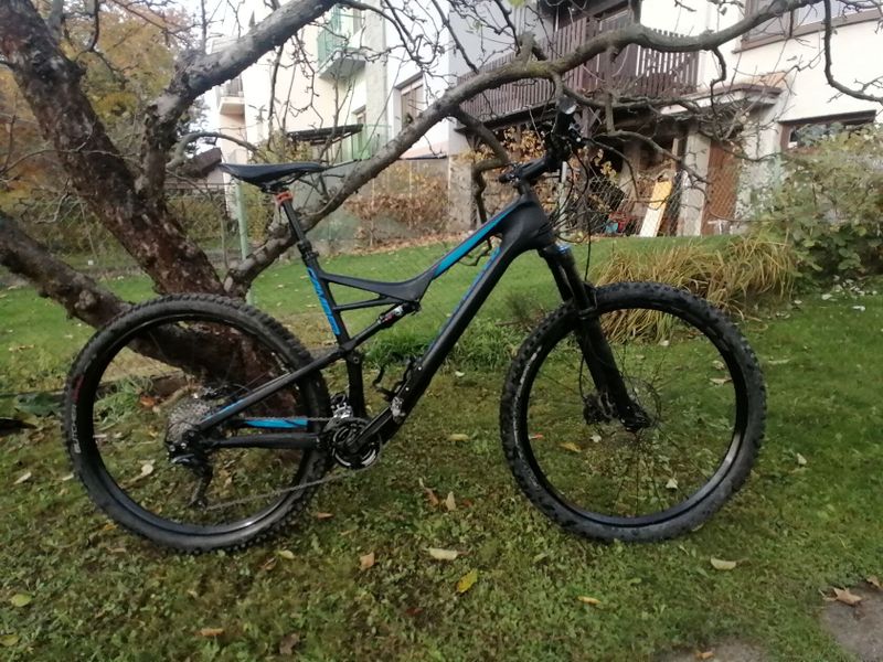 Specialized camber comp carbon