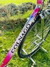 Colnago Tecnos Art Decor