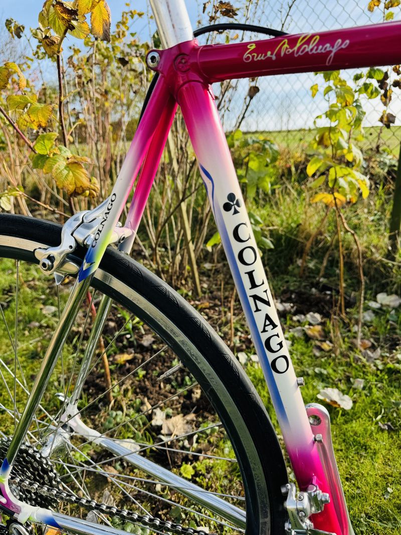 Colnago Tecnos Art Decor