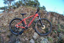 CANNONDALE TRAIL 5