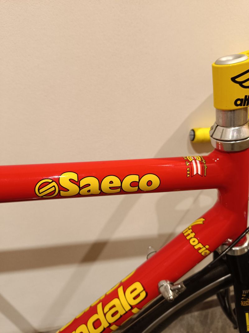 Cannondale Saeco Team replica