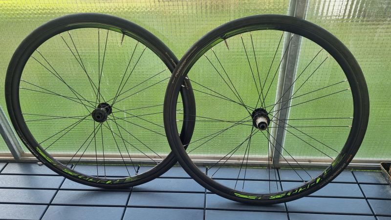 Merida Expert SL disc