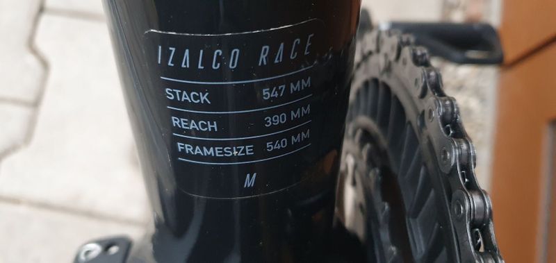 Focus Izalco race