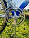 Colnago Oval Master Titanio Art Decor