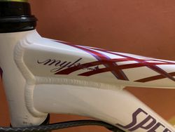 Dívčí celoodpružené kolo Specialized Myka FSR