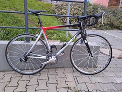 Giant TCR, velikost L