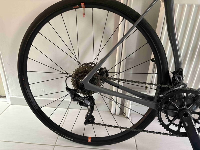 Synapse Carbon Disc Ultegra SE 2018