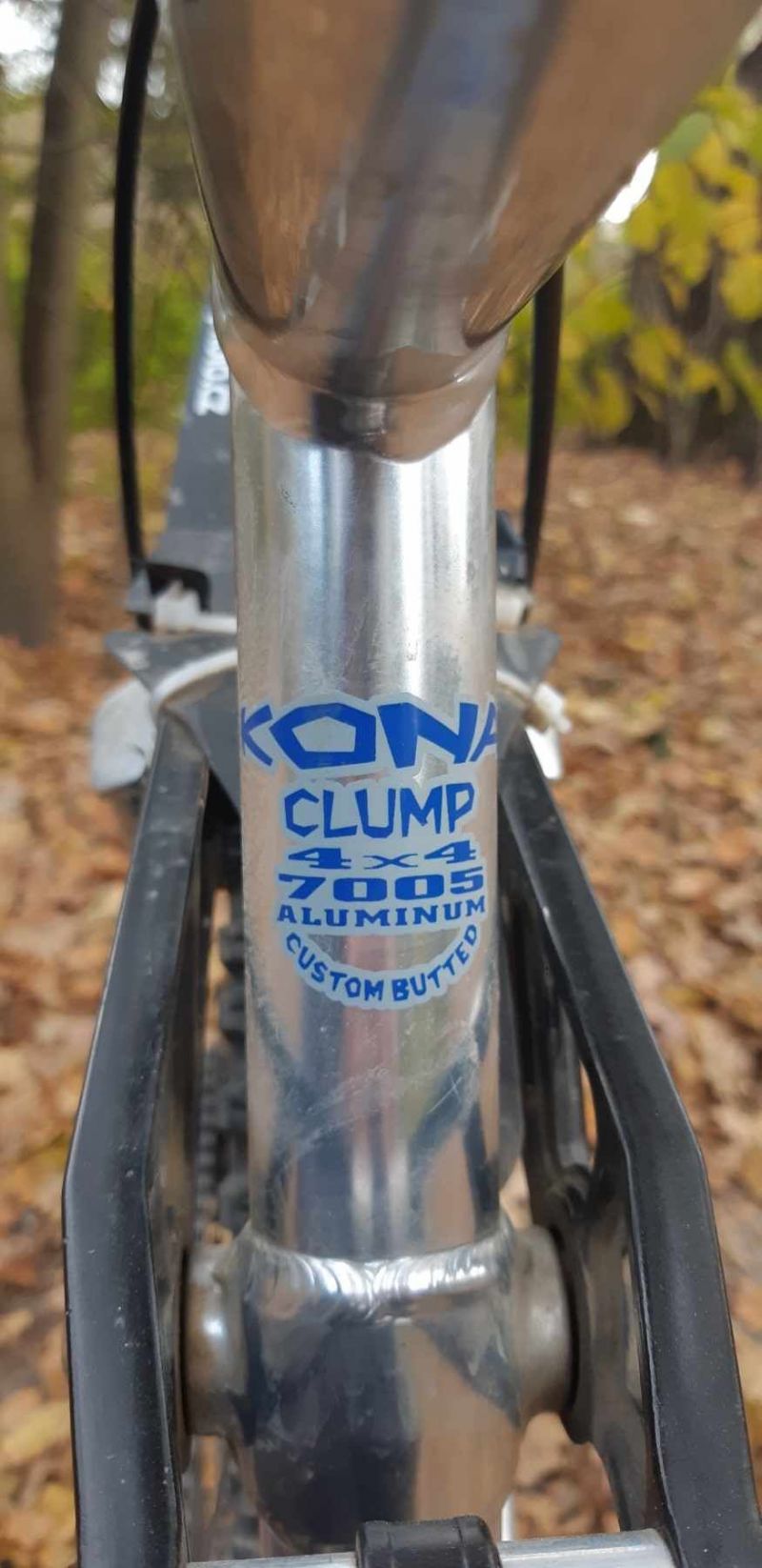 Kona dawg 2004