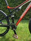 Specialized Epic 29"