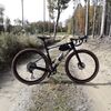 GIANT REVOLT ADVANCED Di2