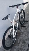 MTB FORCE Epigoni 29'' horské kolo