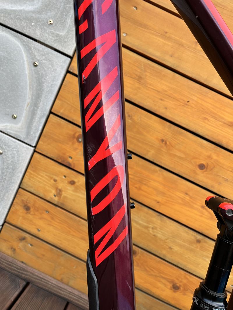 Canyon Strive CF 8.0 2019