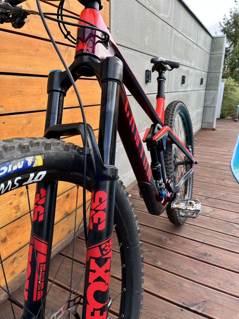 Canyon Strive CF 8.0 2019