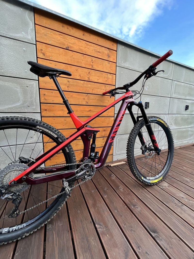 Canyon Strive CF 8.0 2019