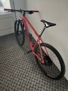 Specialized Epic Hardtail Expert Carbon Word Cup