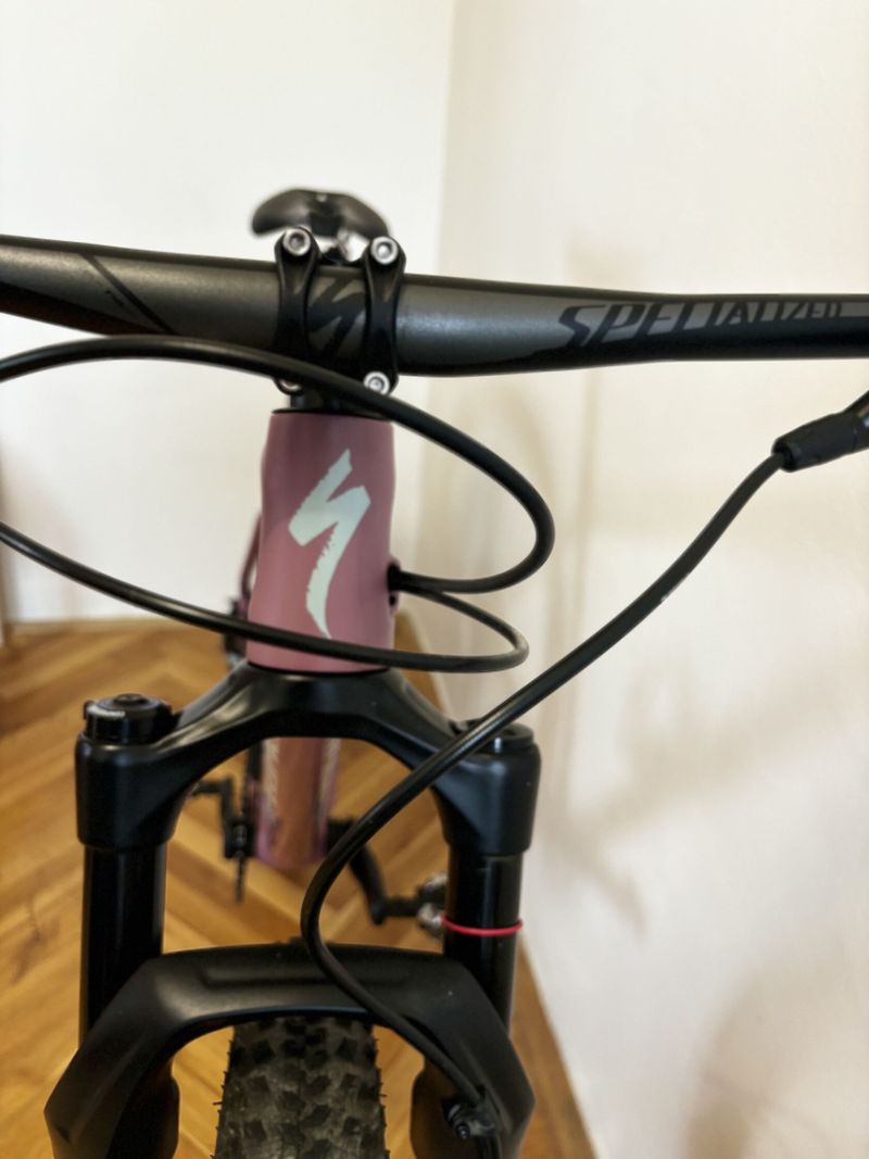 Specialized 2020 Epic Hardtail karbon