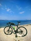 GT Grade alloy expert - 56