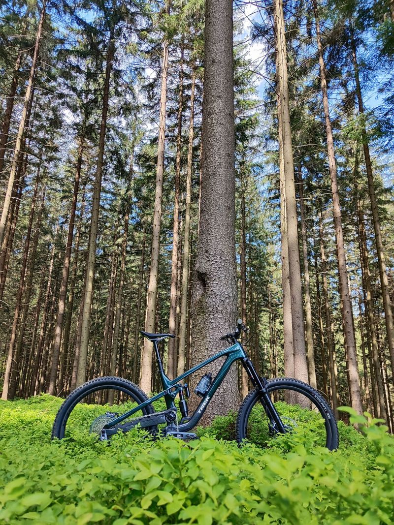 TREK SLASH 9.8 GX AXS gen.6 2024