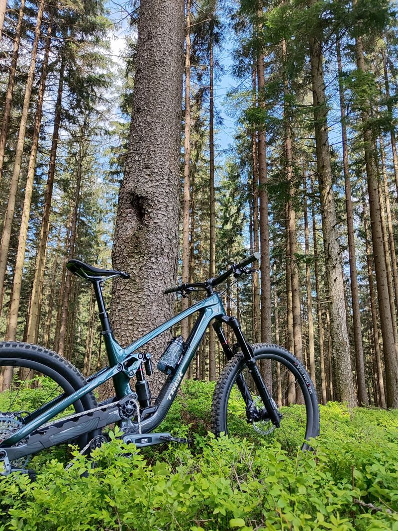 TREK SLASH 9.8 GX AXS gen.6 2024