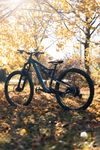 Rock Rider Fifty S AM 27.5