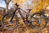 Orbea Wild M10 2022