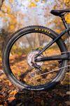 Orbea Wild M10 2022