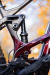 Orbea Wild M10 2022