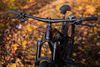 Orbea Wild M10 2022