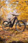 Orbea Wild M10 2022