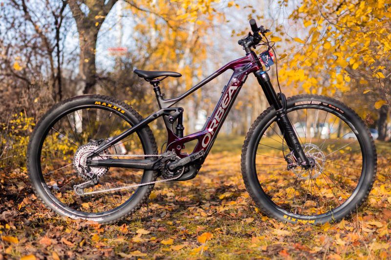 Orbea Wild M10 2022