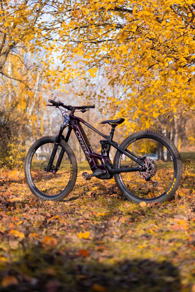 Orbea Wild M10 2022