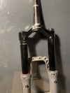 Rockshox ZEB ultimate 170, Charger 3 RC2 W/ButterCup 