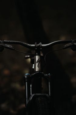 Specialized Stumpjumper Evo AXS