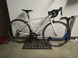 Canyon Endurace CF SL