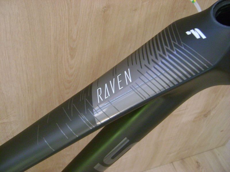 Focus Raven - vel.S (16,5")