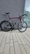 Focus Izalco Max 8.9 2024 XL (58cm)