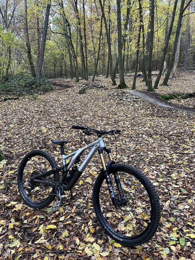 Stumpjumper EVO Elite