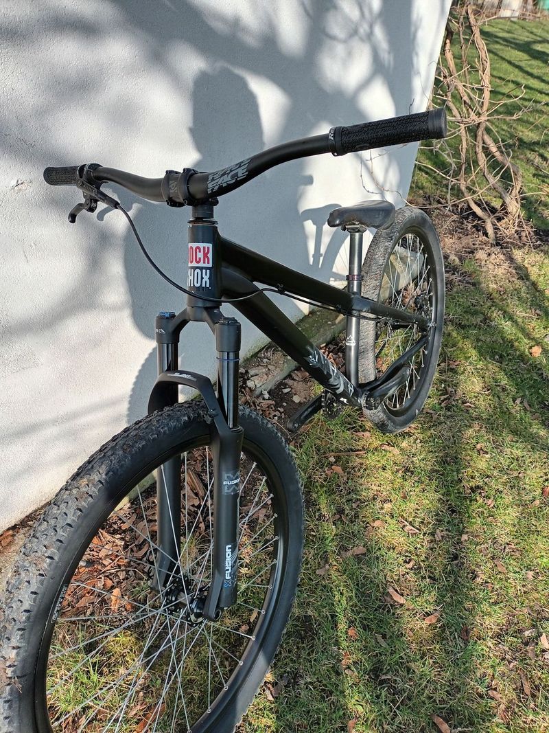 Specialized P3 / Kellys whip 70