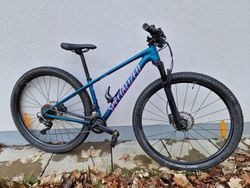 Specialized Chisel c COMP