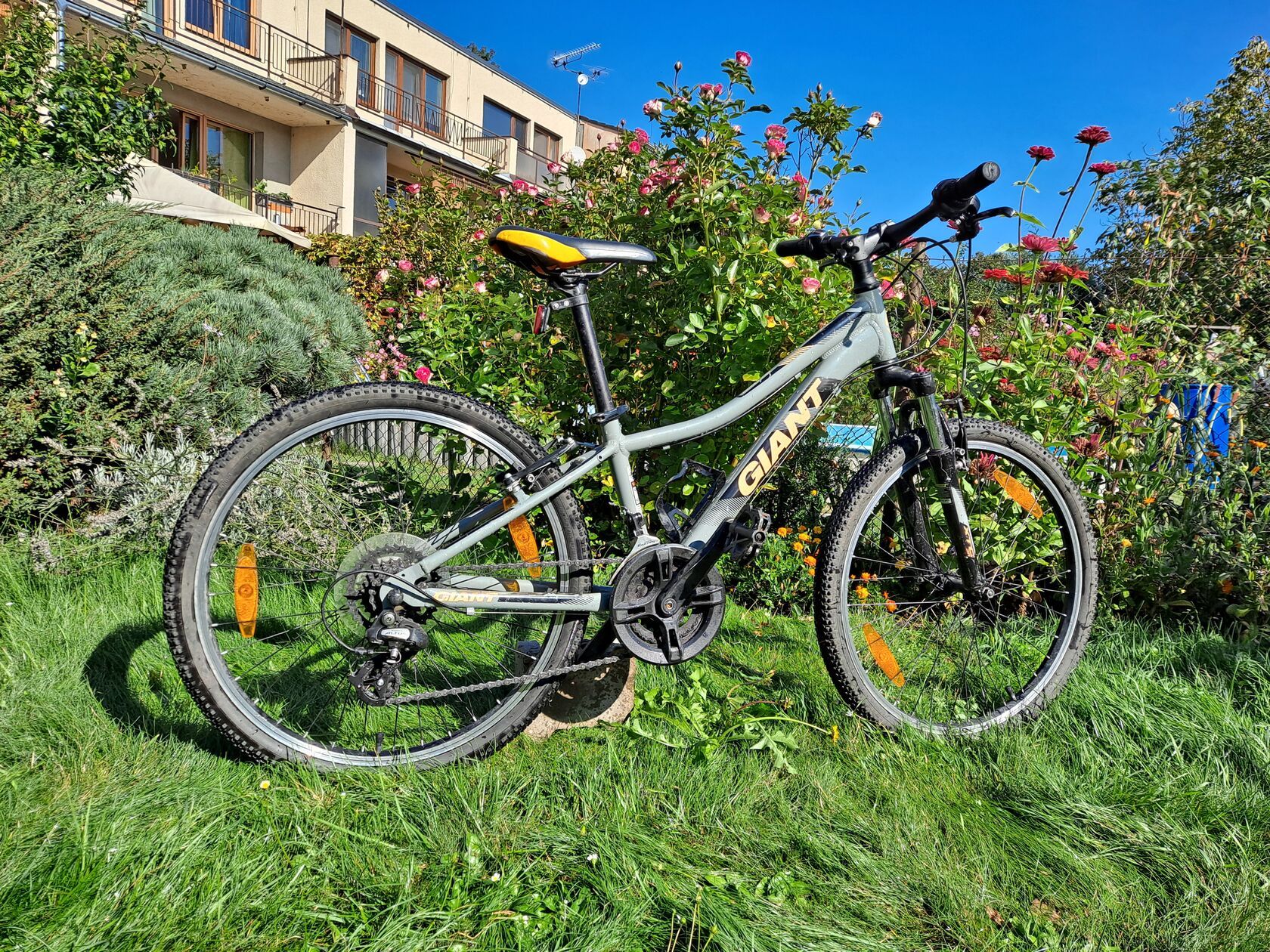 Giant xtc sl on sale jr 24 2018