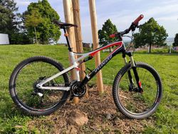 Specialized Epic - L