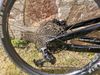 Cannondale Moterra Neo Carbon 3 Plus