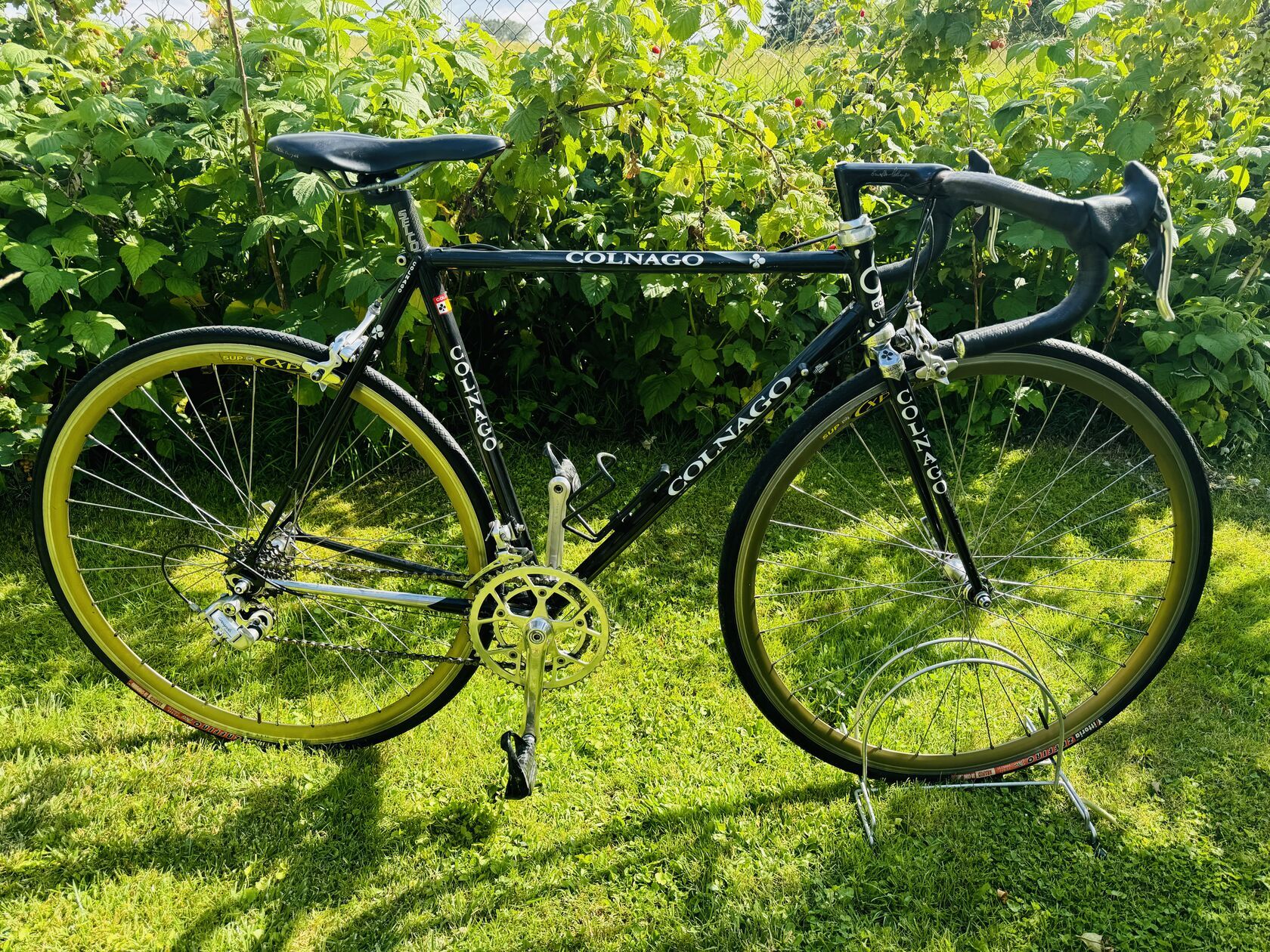 Colnago Master