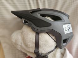 MTB helma FOX Speedframe Pro Mips