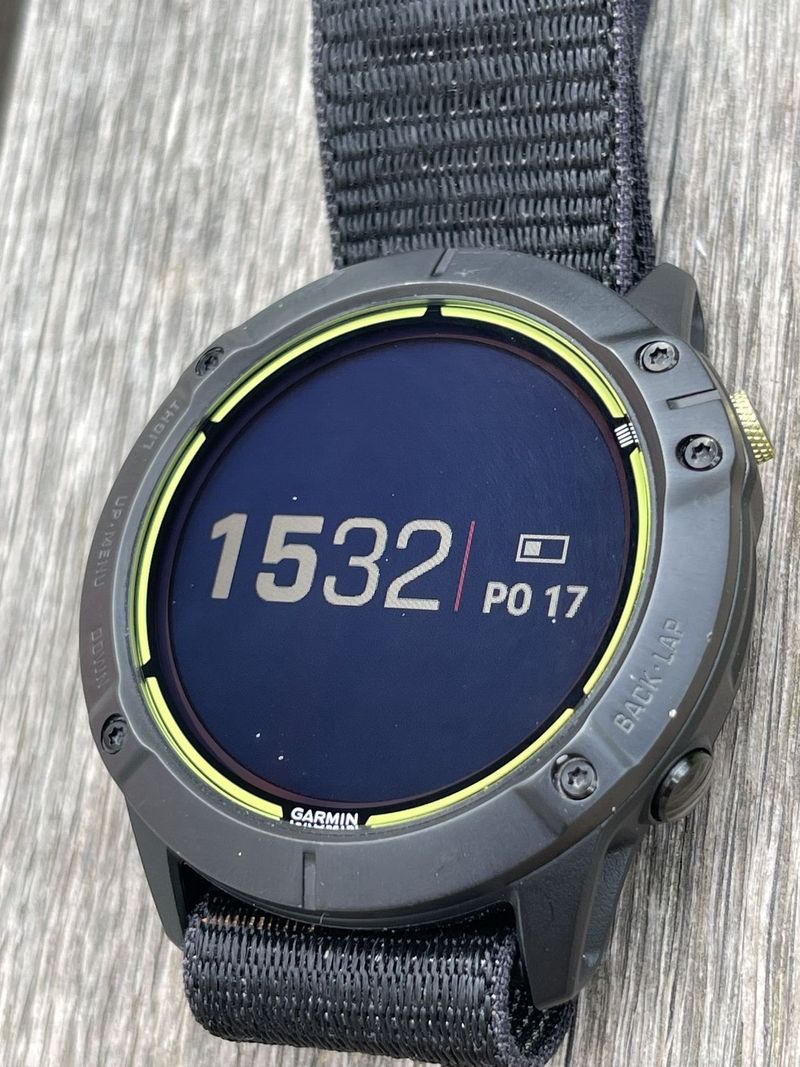 Garmin Enduro Titanium