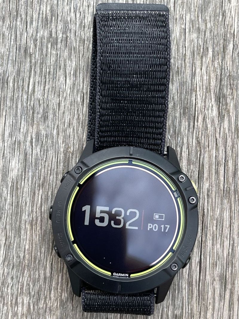 Garmin Enduro Titanium