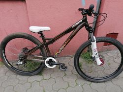 Specialized P2 dirt